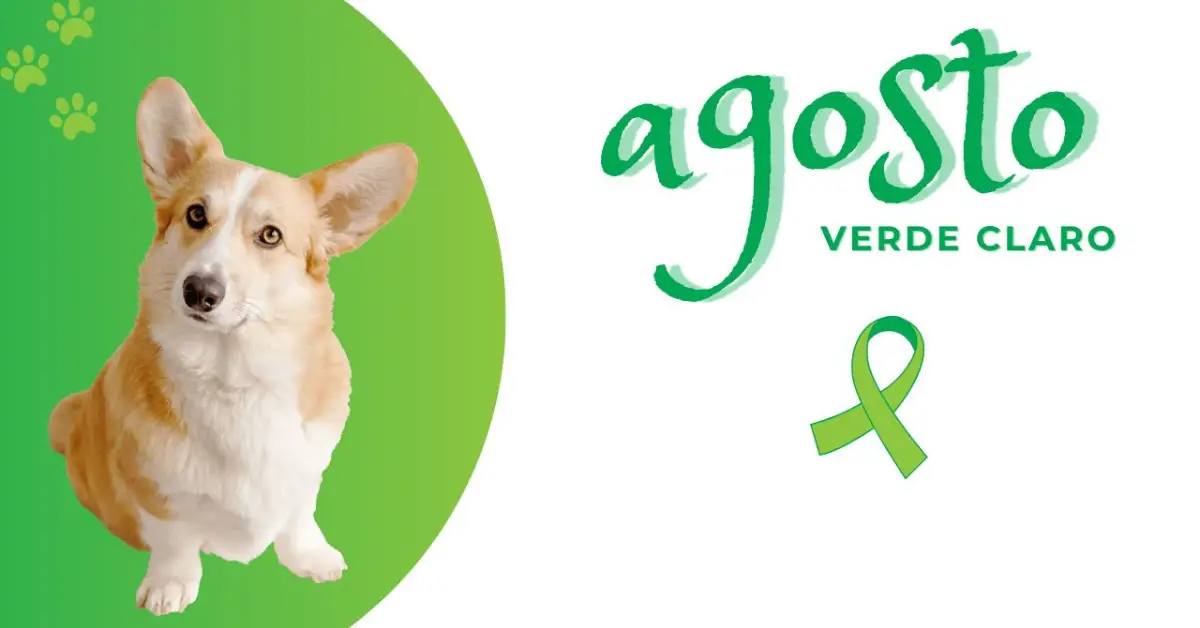 agosto verde claro mes da campanha de prevencao contra leishmaniose canina