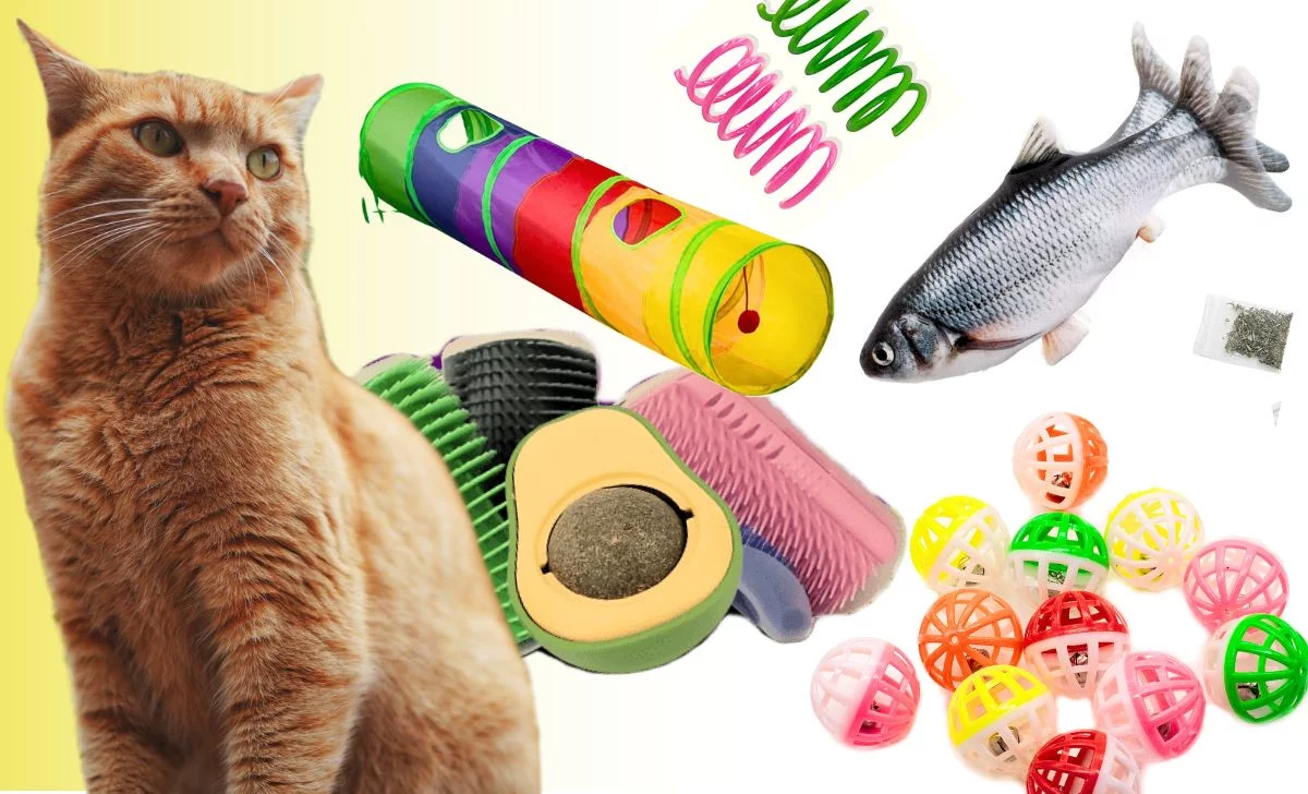 Os 5 melhores brinquedos para gatos: Como entreter seu felino e melhorar o Bem-estar dele